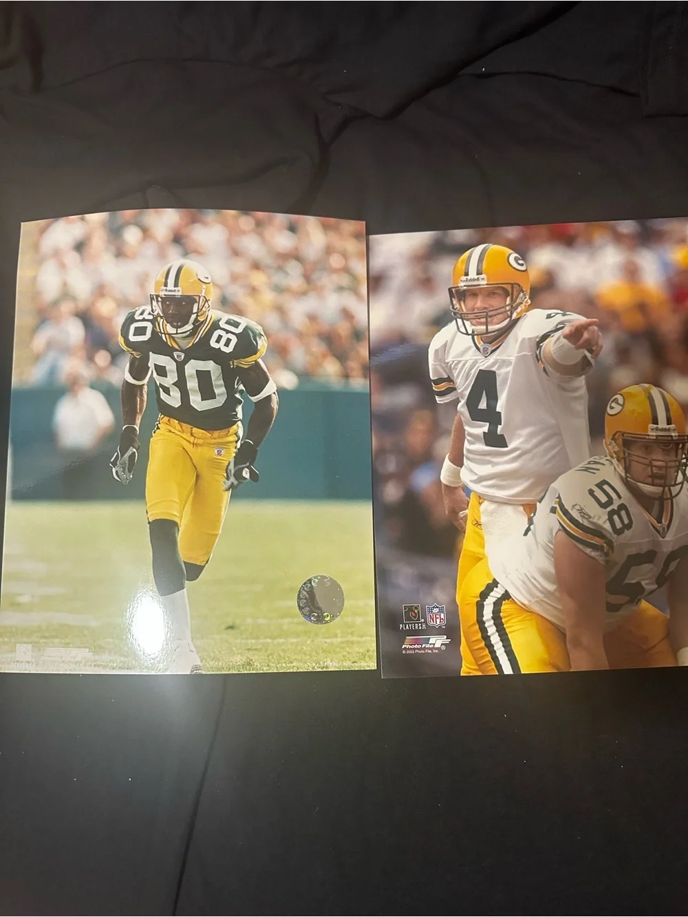 Green Bay Packers lot of 2 8x10 photos Football Player Brett favre donald driver